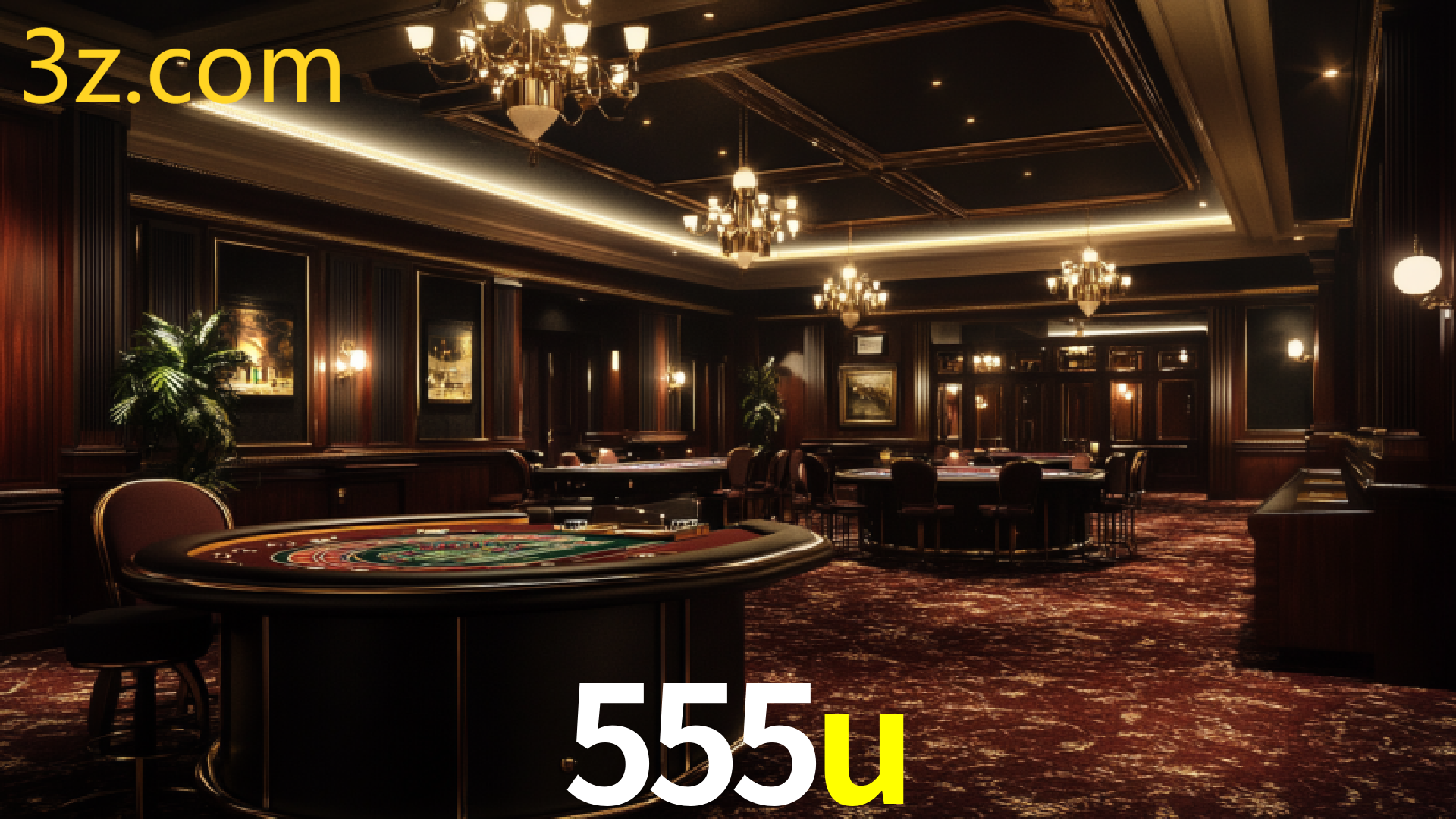 555U